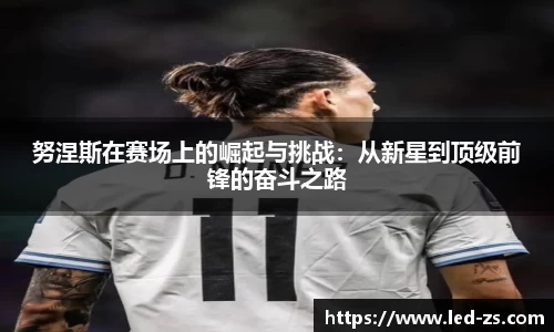 爱游戏ayx官方网站